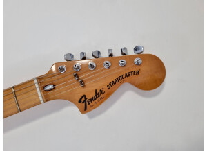 Fender Stratocaster [1965-1984] (83799)