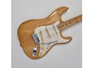 Fender Stratocaster [1965-1984] (55800)