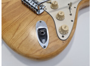 Fender Stratocaster [1965-1984] (64389)