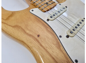 Fender Stratocaster [1965-1984] (14771)