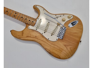 Fender Stratocaster [1965-1984] (17682)