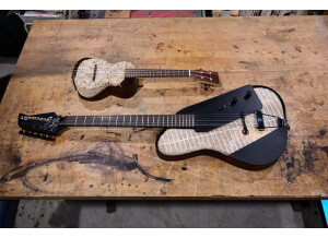 mycocaster ukelele