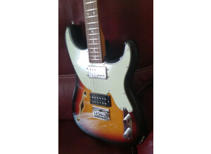 FENDER PS 020