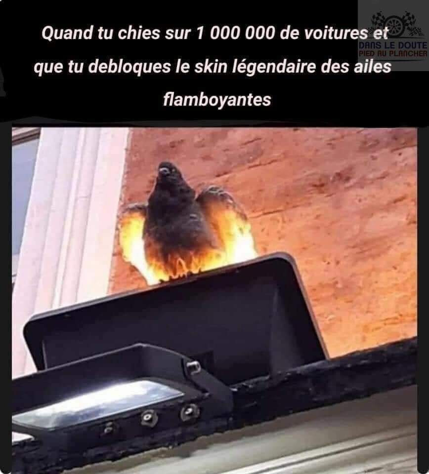 5740967.jpg 5740967.jpg