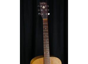 Art & Lutherie Cedar (15875)