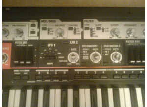 Roland SH-201 (99030)