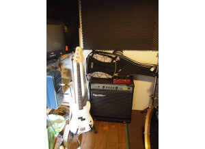 Fender PRECISION BASS MÉXIQUE