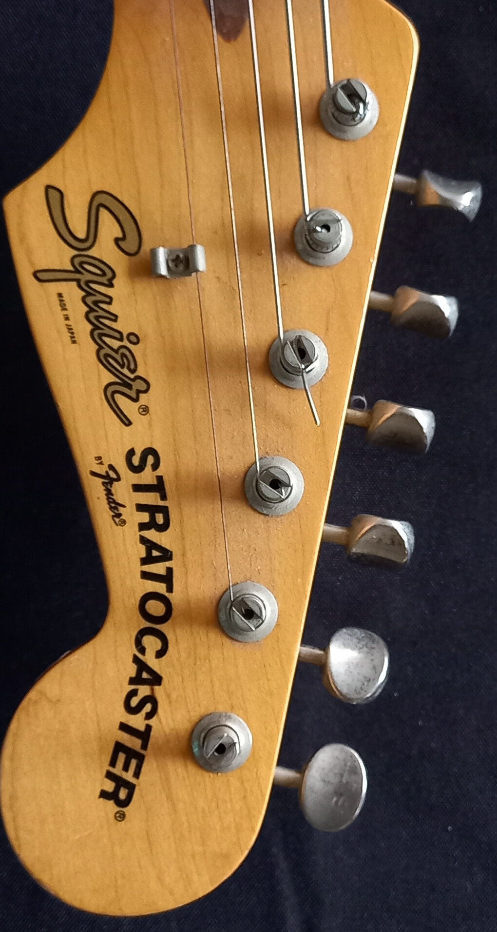 5743754.jpg 5743754.jpg