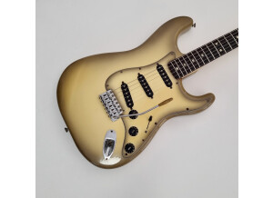 Fender Stratocaster Antigua (73302)