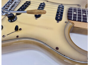 Fender Stratocaster Antigua (81268)