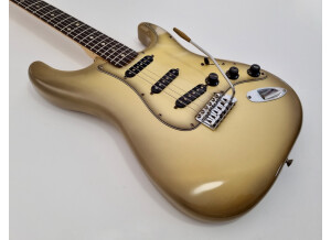 Fender Stratocaster Antigua (50873)