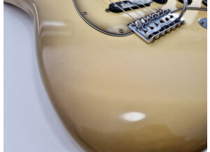 Fender Stratocaster Antigua (96264)