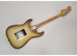 Fender Stratocaster Antigua (41426)