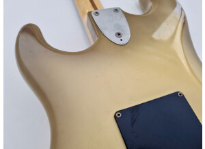 Fender Stratocaster Antigua