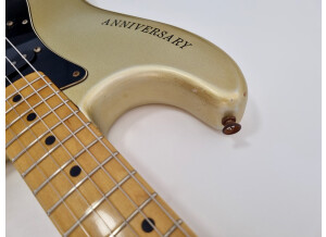 Fender 25th anniversary American Stratocaster (1979) (86776)