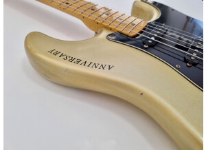 Fender 25th anniversary American Stratocaster (1979) (19958)