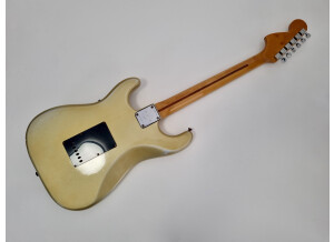 Fender 25th anniversary American Stratocaster (1979) (71051)