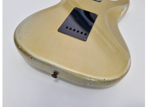 Fender 25th anniversary American Stratocaster (1979) (8840)