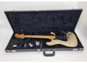 Fender 25th anniversary American Stratocaster (1979)