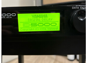 Yamaha D5000 (51127)