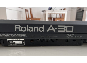 Roland A-30