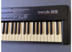 Roland A-33 (53392)