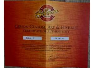 Gibson Les Paul Custom (7317)