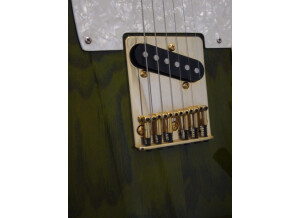 Tanglewood Quomaster status 30 (19710)