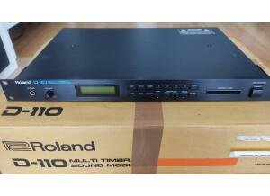 Roland D-110