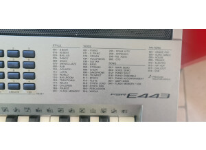 Yamaha PSR-E443 (68971)