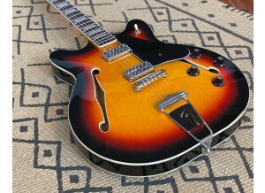 Fender Special Edition Coronado Guitar (59143)