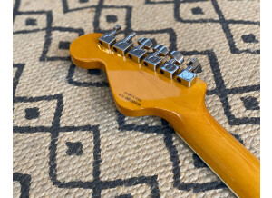 Fender Special Edition Coronado Guitar (65092)