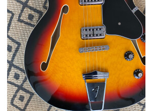 Fender Special Edition Coronado Guitar (86443)