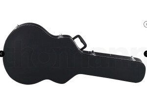 Fender Special Edition Coronado Guitar
