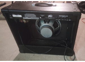 Peavey Bandit 112 (Discontinued) (94661)