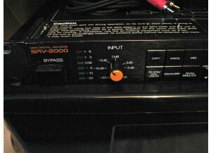 Roland SRV-2000 (36012)