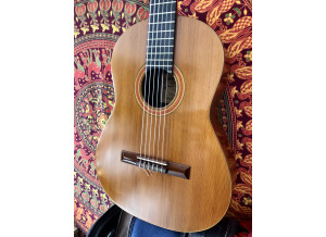 6CF8AD33-06E6-46CF-8729-05BCA497EA5C