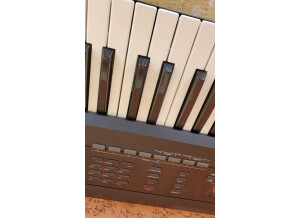 Roland D-50 (6329)