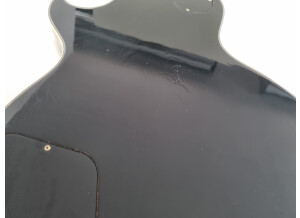 Gibson Les Paul Custom (74403)