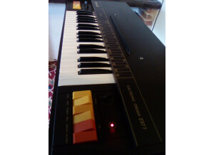 Antonelli Studio Electronic Organ 2377 (73080)