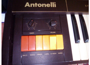 Antonelli Studio Electronic Organ 2377 (14137)