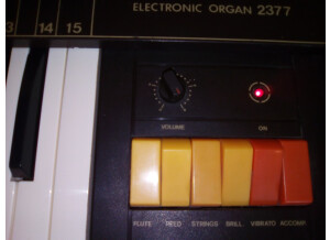 Antonelli Studio Electronic Organ 2377 (10763)