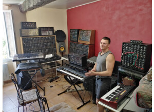 NRSynth Ancestor ARP/SEM (72265)