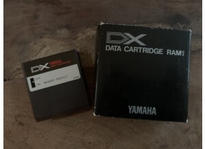 Yamaha DX7 Data RAM (61998)