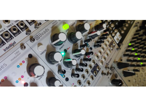 Mutable Instruments Beads (3916)