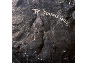 tyg cover album the-young-gods - copie