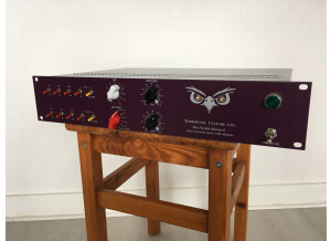 Thermionic Culture The Purple Bustard