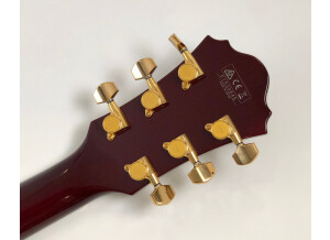 Ibanez EKM100 Prestige Eric Krasno Signature (76735)