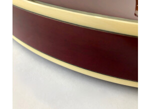 Ibanez EKM100 Prestige Eric Krasno Signature (73703)