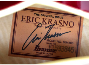 Ibanez EKM100 Prestige Eric Krasno Signature (9021)